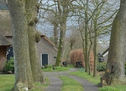 Normal_6251
