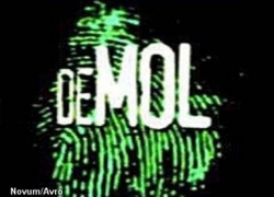 Normal_6381