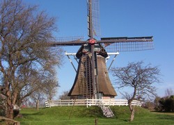 Normal_265