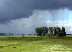Normal_3146