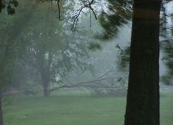Normal_6509