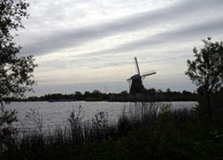 Normal_2995