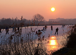 Normal_4470