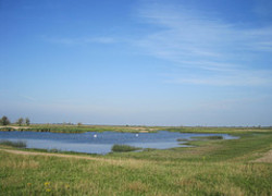 Normal_4608