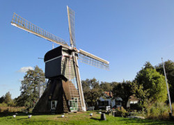 Normal_5607