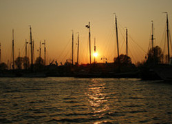 Normal_3161