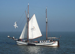 Normal_5009