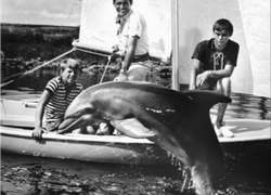 flipper, lassie flipper, lassie