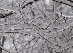 Normal_winter_weer_ijs_vrieskou_vriezen