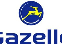 Gazelle accu's Gazelle accu's