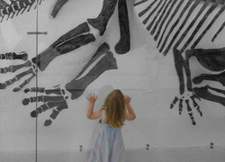 Normal_520801_60552757