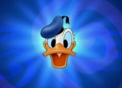 Normal_donald_duck