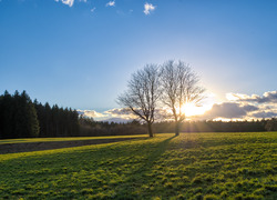 Lente weer Lente weer