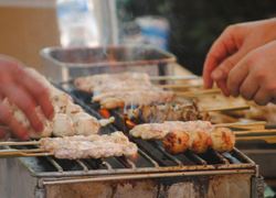 Normal_bbq_barbecue_barbeque