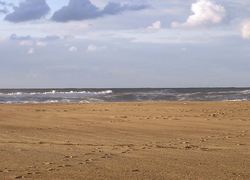 Normal_strand__2_