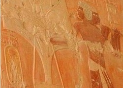 Normal_trees_to_transplant_from_punt_to_egypt_-_hatshepsut_mortuary_temple_wiki_-c_