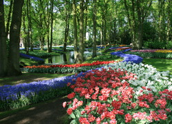 Normal_keukenhof_340