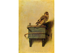 Normal_het_puttertje_-_carel_fabritius