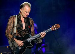 Normal_sting