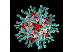 Logo_menselijk_polio_virus