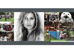 Logo_landgoed-jachtslot-mookerheide-jachtslotfair_440x220