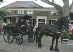 Normal_koetsen_-_2007__maasland_1