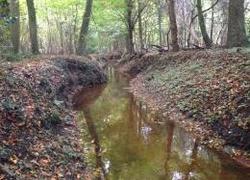 Normal_beekje_de_elsbeek