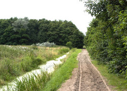 Normal_natuurnetwerk_zuid-holland