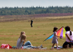 Normal_veluwe