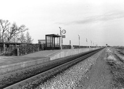 Normal_visvliet-04