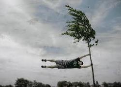 Normal_sterke_wind