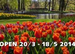 Normal_keukenhof_2014