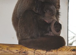 Normal_13935161640020_1