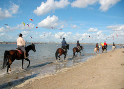 Normal_nl-beach