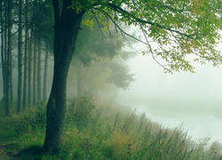 Normal_landschap-2