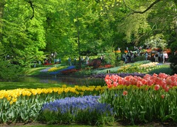 Normal_keukenhof-szmurlo