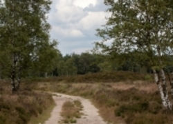 Normal_natuurbeheer