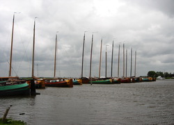 Normal_friese_boten