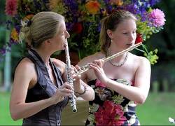 Normal_fluitisten_keukenhof