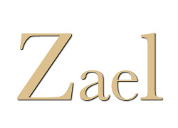 Logo_zael_meppel_logo