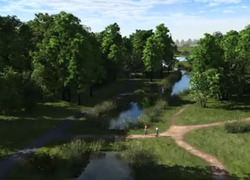Normal_parkbos-de-haar