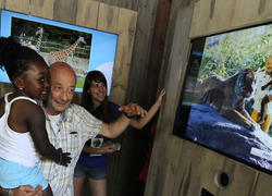 Normal_diergaarde_blijdorp_fotobeleving