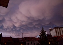 Normal_onweer