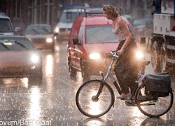Normal_14090422600065_1
