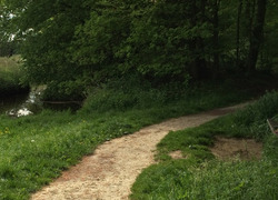 Normal_wandelpad