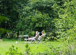 Normal_gees_natuurkampeerterrein