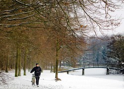Normal_14198495760031_1