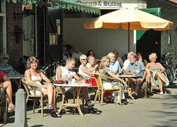 Normal_terras