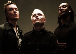 Normal_the_prodigy
