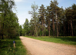 Normal_1892